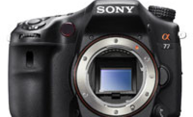  Sony SLT-A77 - zdjęcia przykładowe